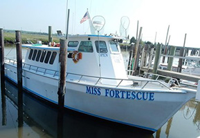 miss fortescue